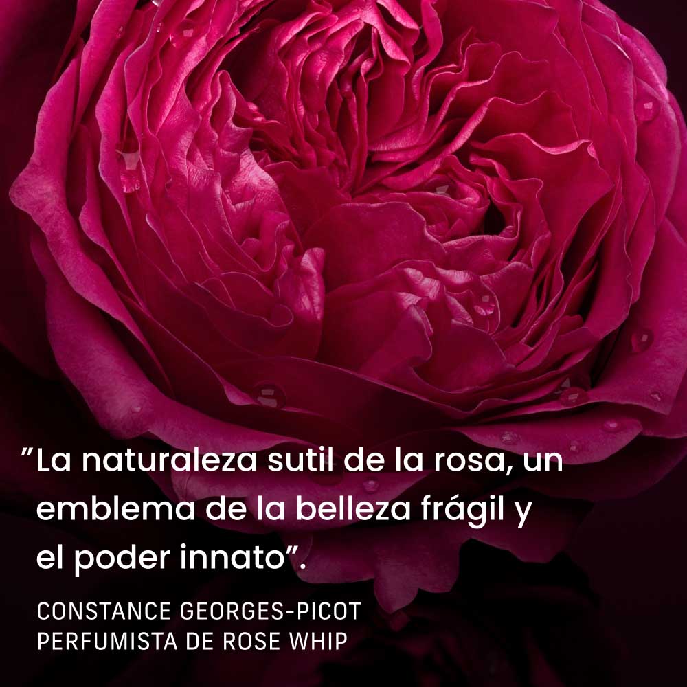 ROSE WHIP EAU DE PARFUM